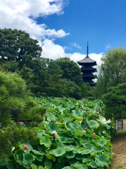 京都の東寺