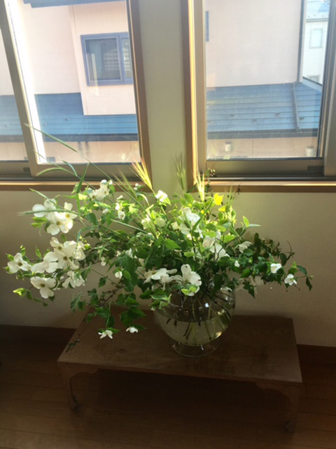 ハナミズキ、山吹（白）、木苺、麦