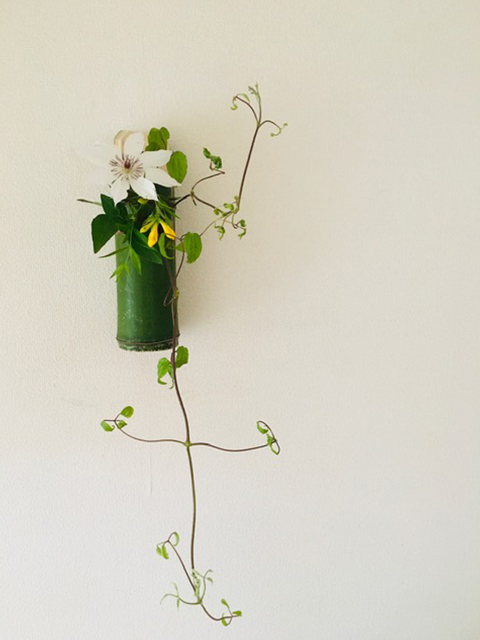 白のクレマチス