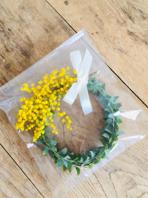 三角葉アカシア