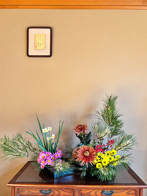 ジャノメマツ　キク　ナンテン　スイセン　コギク